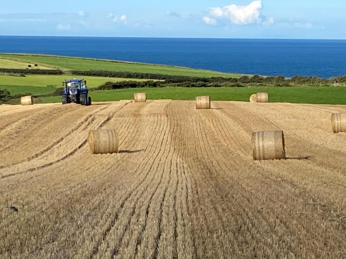 Bayview Farm Holiday Cottages Bushmills Extérieur photo