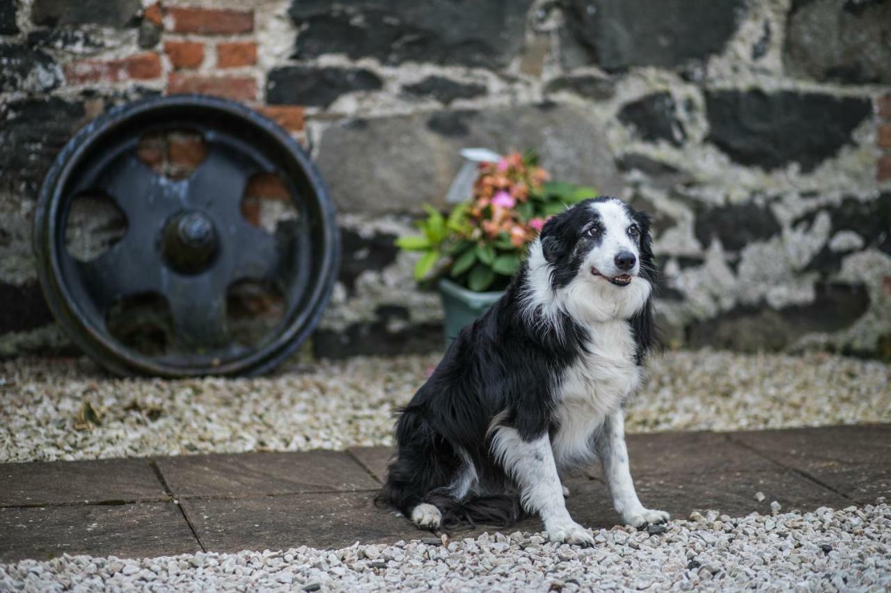Bayview Farm Holiday Cottages Bushmills Extérieur photo